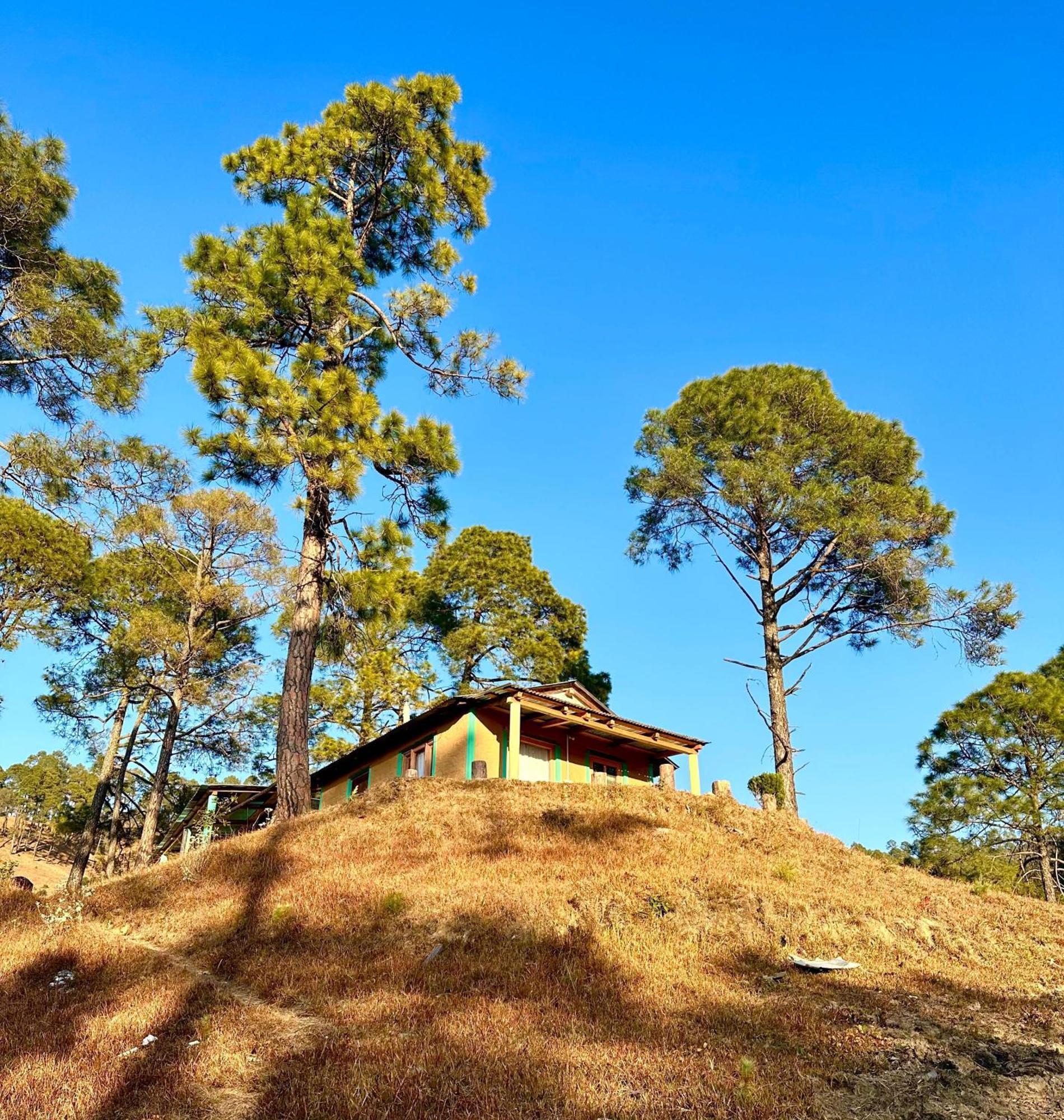 Joshi Cottage Binsar Esterno foto